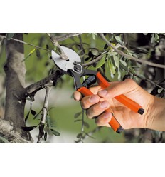 Forbice Stocker a doppio taglio - Forbici professionali 2