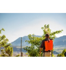 POMPA A ZAINO A PRESSIONE 12LT 2