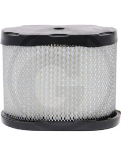 Filtro aria 697029 - Ricambi e Accessori per Macchine da Giardino