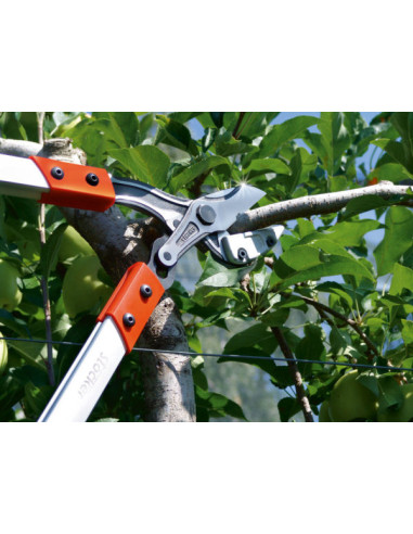 Troncarami Profi 80-100 Amboss - Troncarami