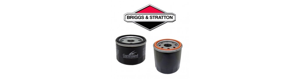 Filtri Briggs & Stratton